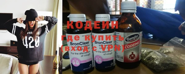 молекула духа Арсеньев