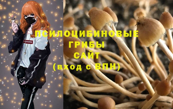 прущие крисы Армянск