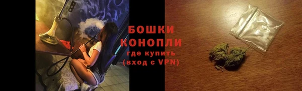 молекула духа Арсеньев