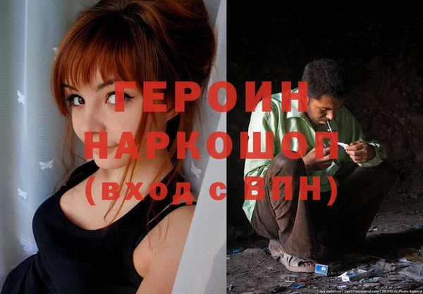 молекула духа Арсеньев