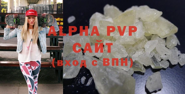 молекула духа Арсеньев