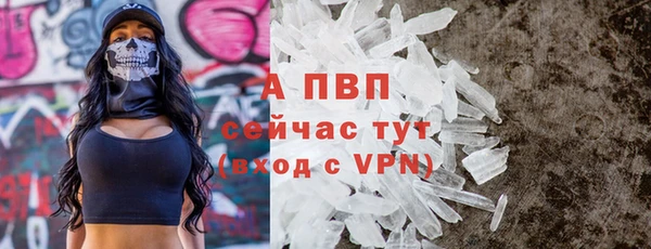 молекула духа Арсеньев