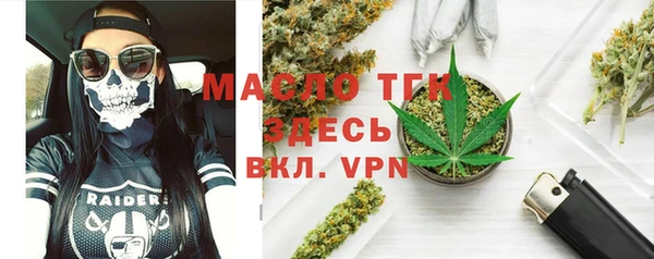 молекула духа Арсеньев