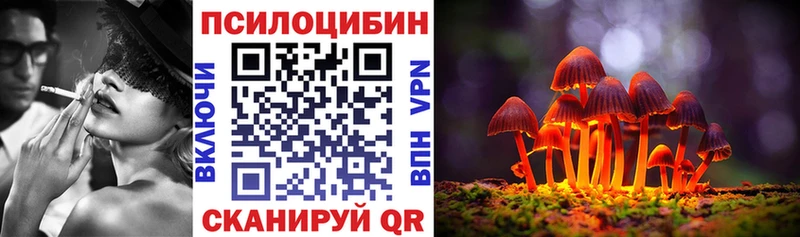 купить наркоту Менделеевск Псилоцибиновые грибы MAGIC MUSHROOMS